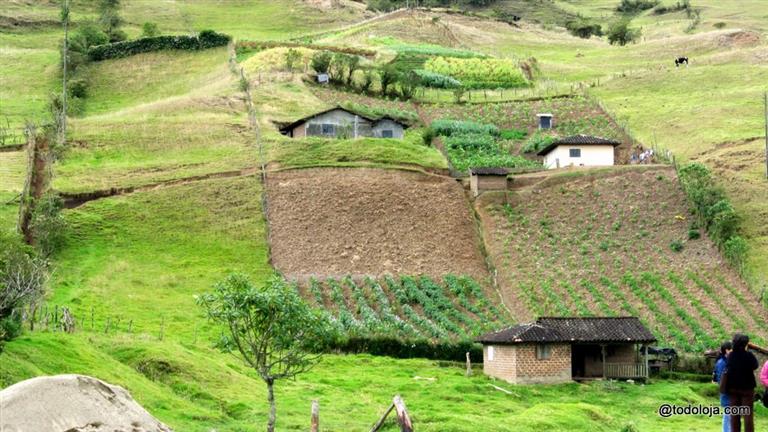 Vivir sano en Loja