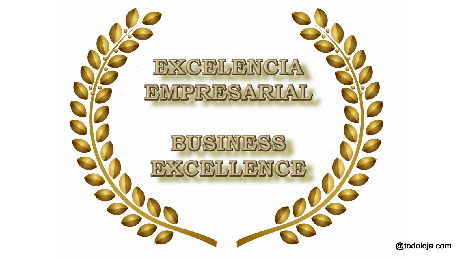 Excelencia Empresarial 
          Lo que significa ser excelete en Loja Ecaodr y cuales son las empresas que lo son